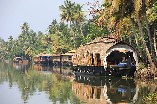Kerala's backwaters An image of the beautiful backwaters close to Kumarakom in South India arabian sea photos stock pictures, royalty-free photos & images