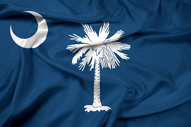 istock Waving South Carolina State Flag 481422687
