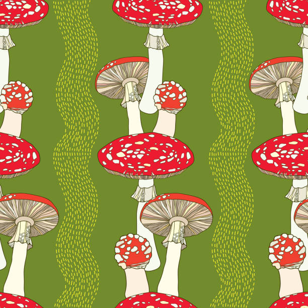 Seamless pattern with amanita and stripes. Poisonous red-cup Mushroom Seamless pattern with amanita and stripes. Poisonous red-cup Mushroom/ little grebe (tachybaptus ruficollis) stock illustrations