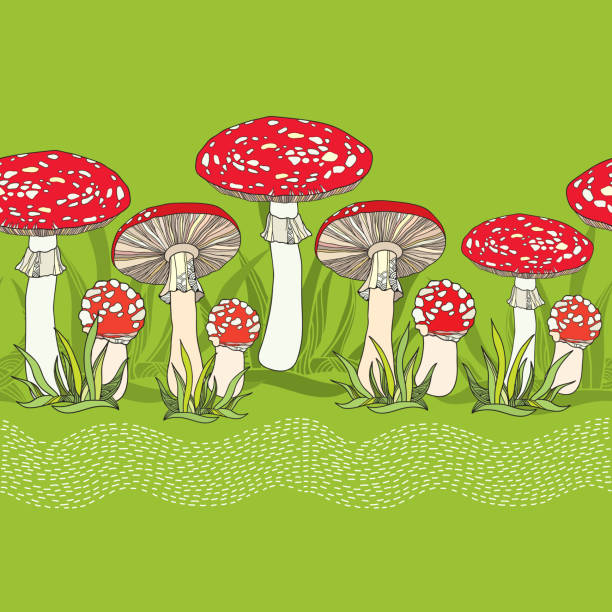 Seamless pattern with amanita and grass Seamless pattern with amanita and grass. little grebe (tachybaptus ruficollis) stock illustrations