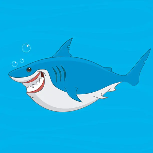 Vector illustration of great white shark. Большая белая акула.