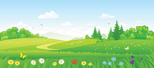 임산 필드 - valley green grass landscape stock illustrations
