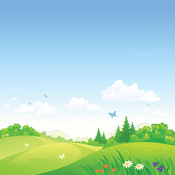 Summer rolling hills Vector illustration of a beautiful summer rolling landscape. RGB colors. rolling landscape stock illustrations