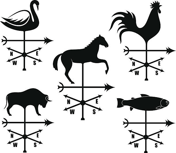 illustrazioni stock, clip art, cartoni animati e icone di tendenza di banderuola - meteorology weather vane direction wind