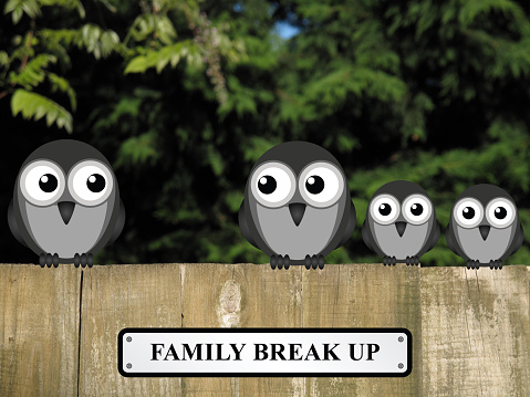 Representation of family break up or divorce with birds perched on a timber garden fence against a foliage background