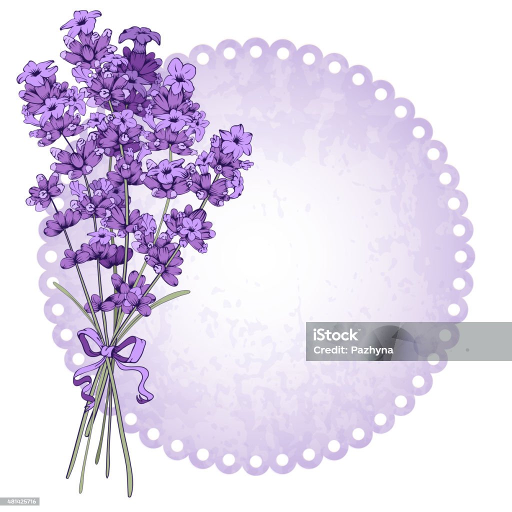 Lavender Floral vintage background with fragrant lavender bouquet. Vector illustration isolated on white. 2015 stock vector