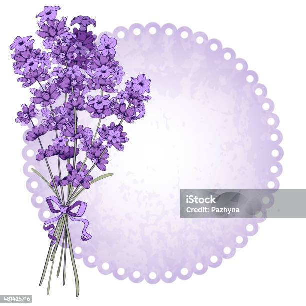 Lavender Stock Illustration - Download Image Now - 2015, Aromatherapy, Art