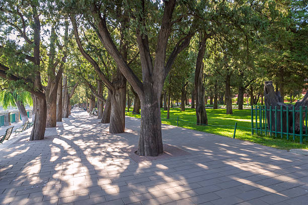 Beijing Zhongshan Park