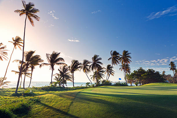 Tobago Plantations golf course stock photo