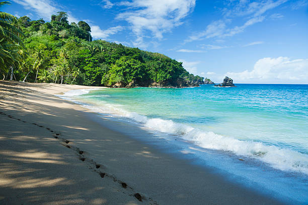 The beach of Englishman's bay (also known as Fisherman's bay) located in the Caribbean Island of Tobago.