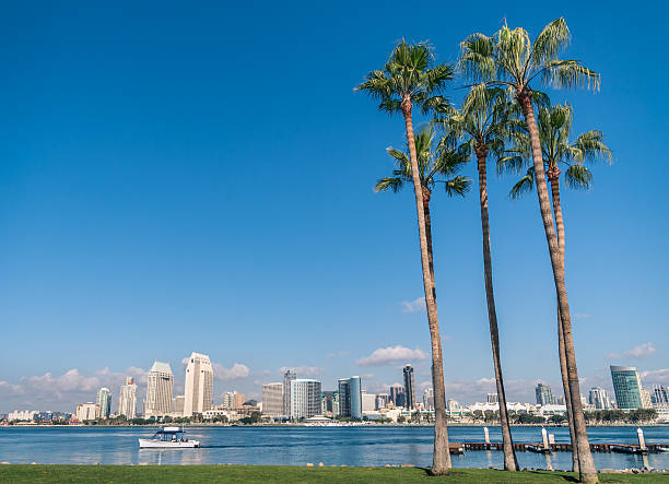 panorama de san diego depuis l'île de coronado - day san diego california harbor downtown district photos et images de collection