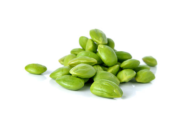 istock Parkia speciosa seeds or bitter bean on white background 481428848