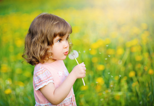 Cute little girl blowing dandelion seeds in the park