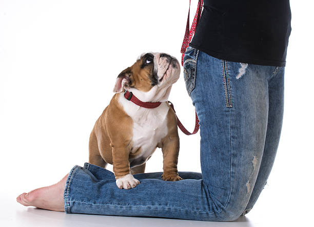 istock woman and her dog 481429122