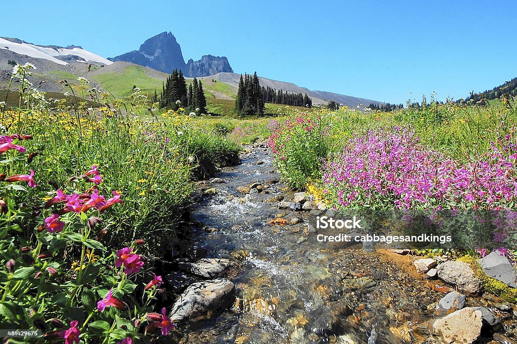 Negro tusk parque garibaldi cerca de las montañas de whistler - Foto de stock de Whistler - Columbia Británica libre de derechos