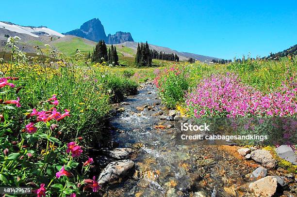 Negro Tusk Parque Garibaldi Cerca De Las Montañas De Whistler Foto de stock y más banco de imágenes de Whistler - Columbia Británica