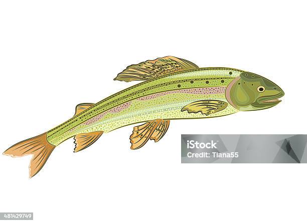 グレイリングサーモン凶暴な魚 - ジャンプするのベクターアート素材や画像を多数ご用意 - ジャンプする, 魚, ブラウントラウト
