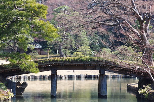 istock Japanese garden in springtime 481430137