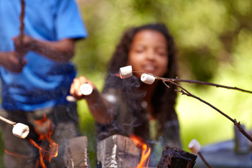 Kids roasting marshmallows on an open fire