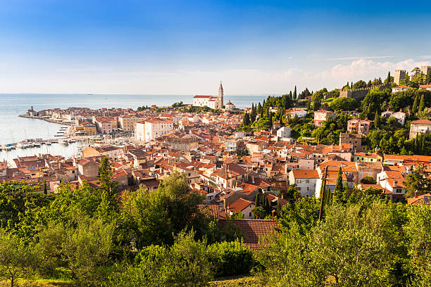 istock Picturesque old town Piran - Slovenia. 481433043