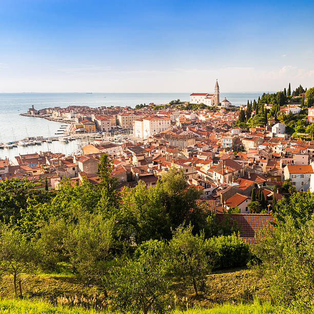 istock Picturesque old town Piran - Slovenia. 481433093