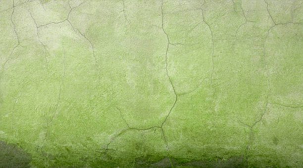 istock Vintage green tone Cement wall 481437644