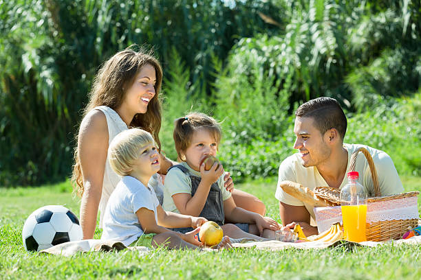istock Family of four having picnic 481443306