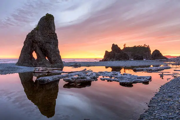 Sunset reflected in a slow moving stream, with sea stacks and driftwood, at Ruby Beach in Olympic National Park, Washington.
