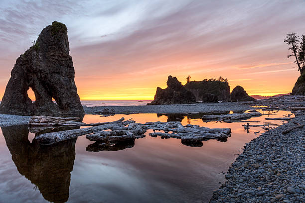Ruby Beach Cliffs 1,300+ Ruby Beach Stock Photos, Pictures & Royalty-Free Images - iStock