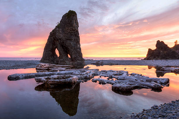 playa de ruby driftwood y seastacks al atardecer - olympic national park fotografías e imágenes de stock