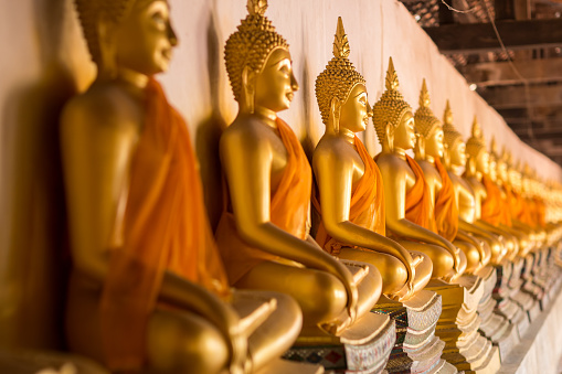 group of golden buddha statue in sitting posture, Wat Phutthaisawan,Ayutthaya , Thailand