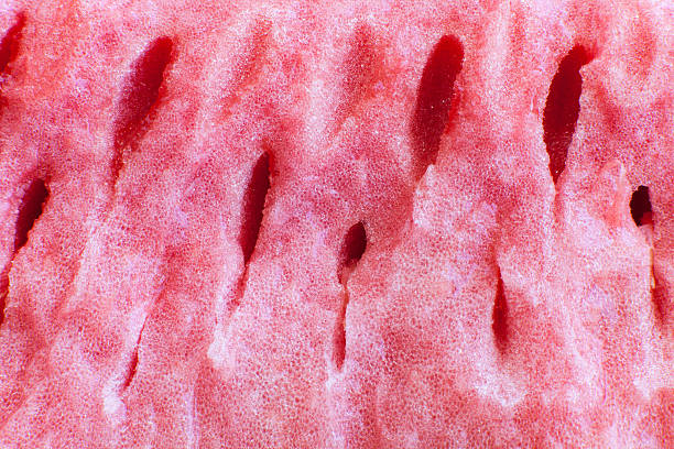 istock the flesh of watermelon 481447306