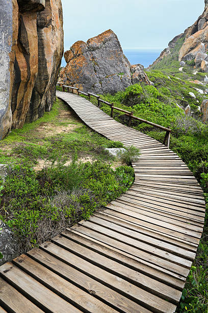 istock Wood Walkway and Rocks at Coast 481448281