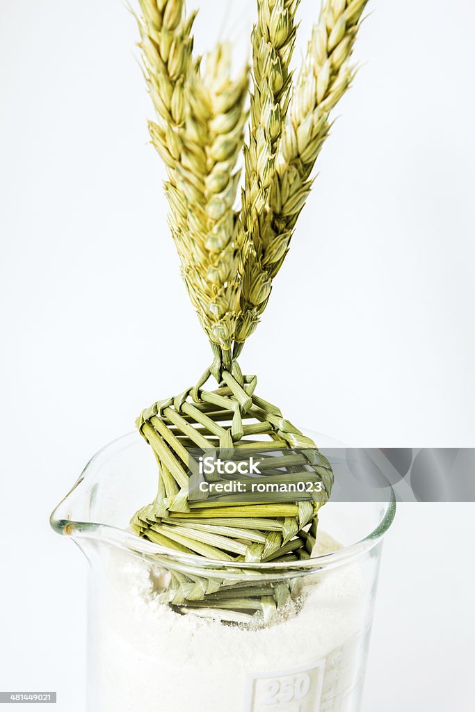Twisted fiore nel DNA array - Foto stock royalty-free di Agricoltura