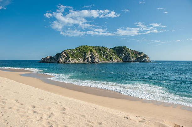 istock Cacaluta beach in Huatulko, Oaxaca, Mexico 481451303