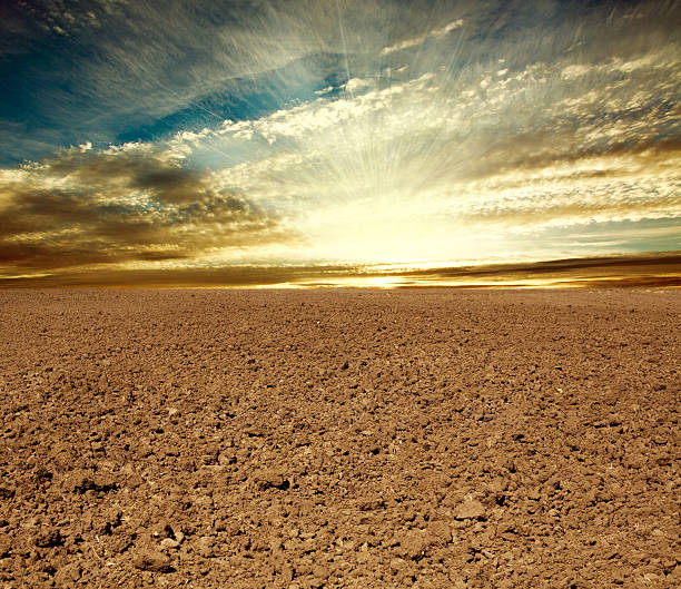 istock Ploughed farmland field in sunset 481456407