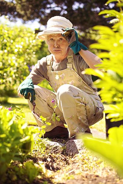 istock Older woman working in garden feeling tired 481458395