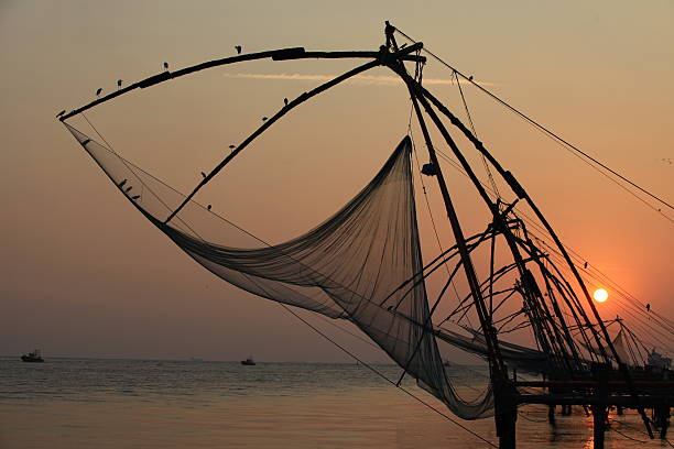 istock Chinese fishing nets, Cochin 481458881
