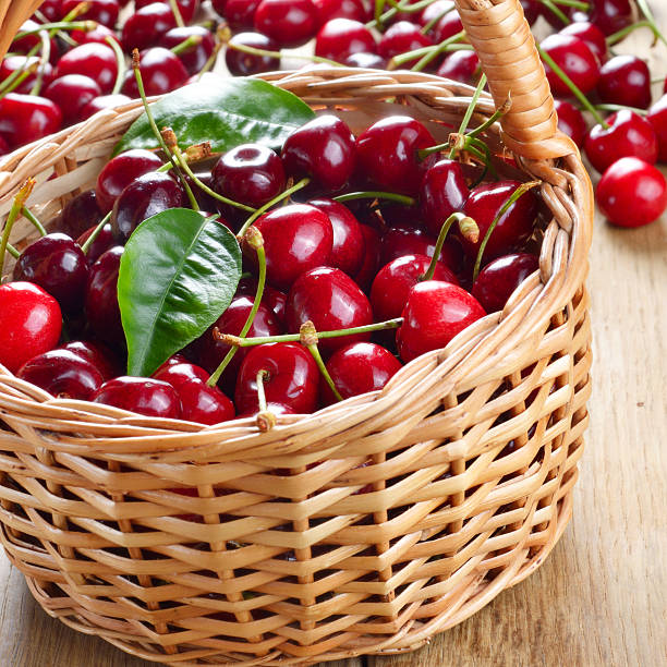 istock Basket of organic Cherries 481459307