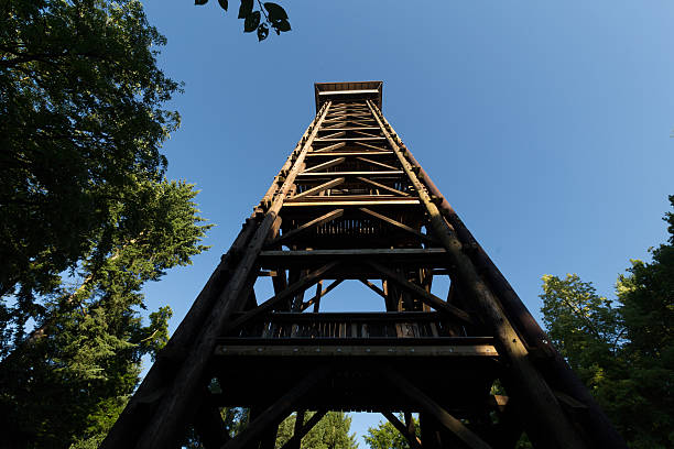 istock goethe tower frankfurt germany 481459594