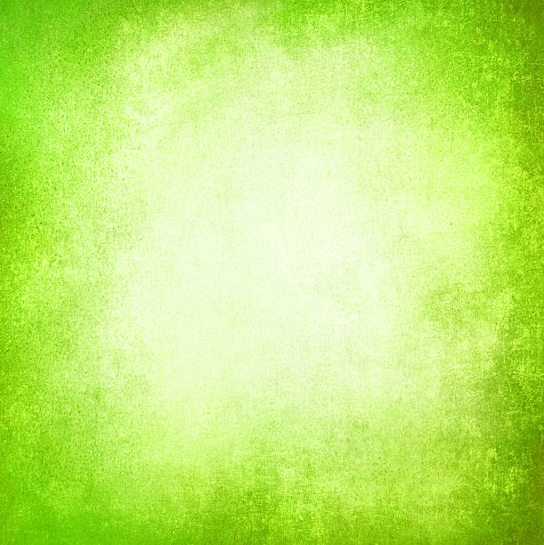 istock abstract green background texture design layout, vintage grunge background texture 481463245