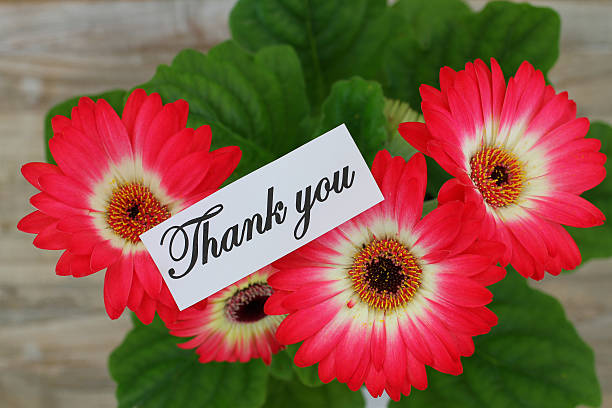 istock Thank you card with gerbera daisies 481463733