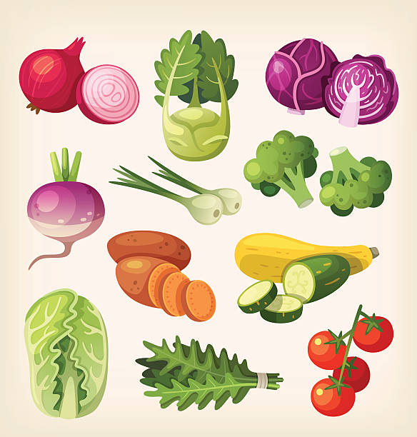 satz von bunte gemüse - kohlrabi on food ripe stock-grafiken, -clipart, -cartoons und -symbole