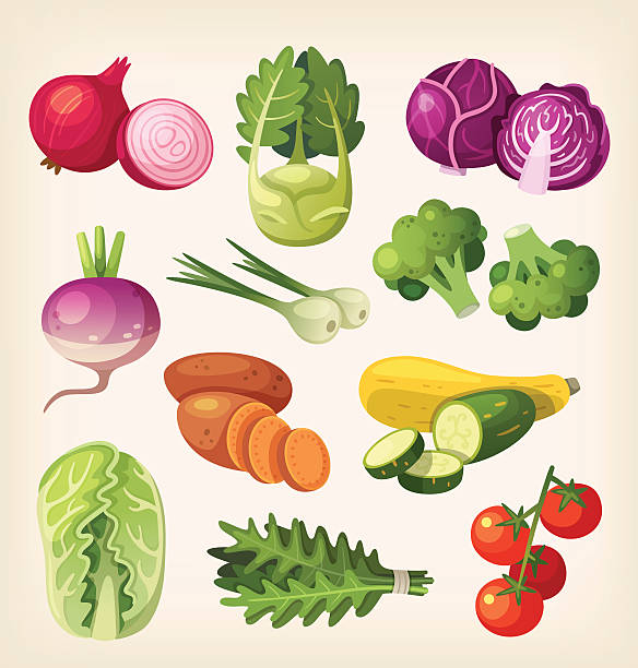ilustrações, clipart, desenhos animados e ícones de conjunto de legumes coloridos - kohlrabi purple cabbage organic
