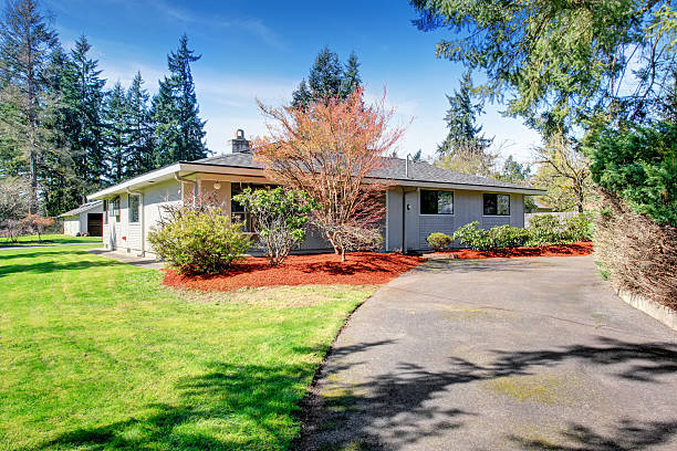 istock Lovely and simple home with greenery. 481470484