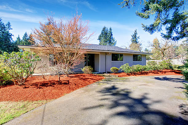 istock Lovely and simple home with greenery. 481470510