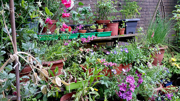 istock Summer Flower Garden 481471086