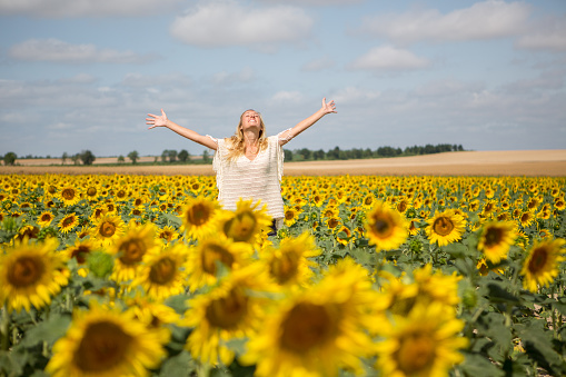 Cheerful young woman arms outstretched in the middle of a sunflower field. Summer day, blue sky with some clouds. She is enjoying the freedom in nature.