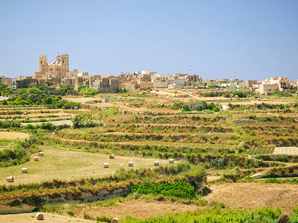 istock Landscape of rural Gozo, Malta 481474012