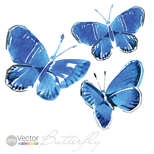 水彩ブルー、蝶のベクトルイラスト。tm - butterfly yellow white background wing点のイラスト素材／クリップアート素材／マンガ素材／アイコン素材